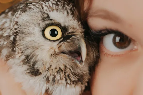 Paradise Casino Assistance